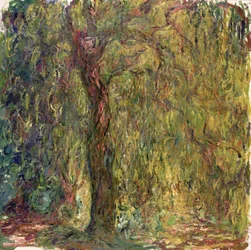 Saule pleureur, 1918-19